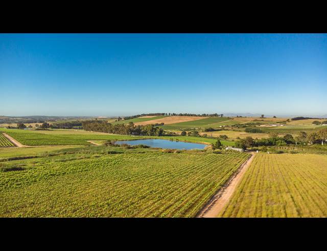 94HA FARM FOR SALE IN STELLENBOSCH FARMS